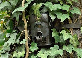 Data transmission module